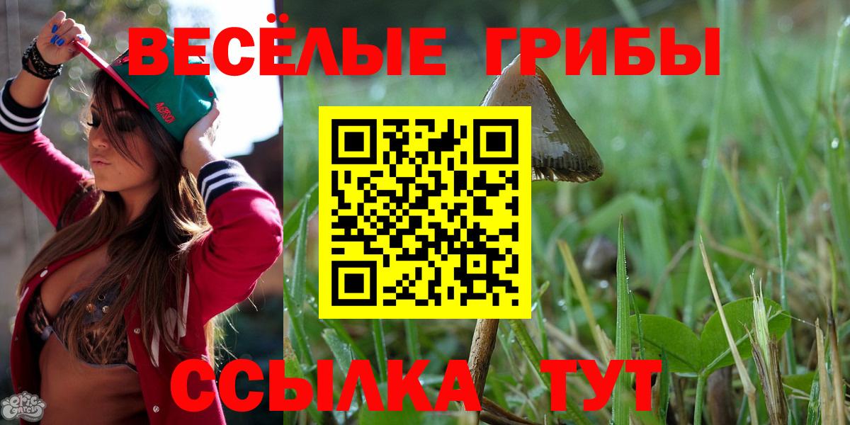 Людиново  Псилоцибиновые грибы MAGIC MUSHROOMS  Галлюциногенные грибы мицелий  Вход с VPN 